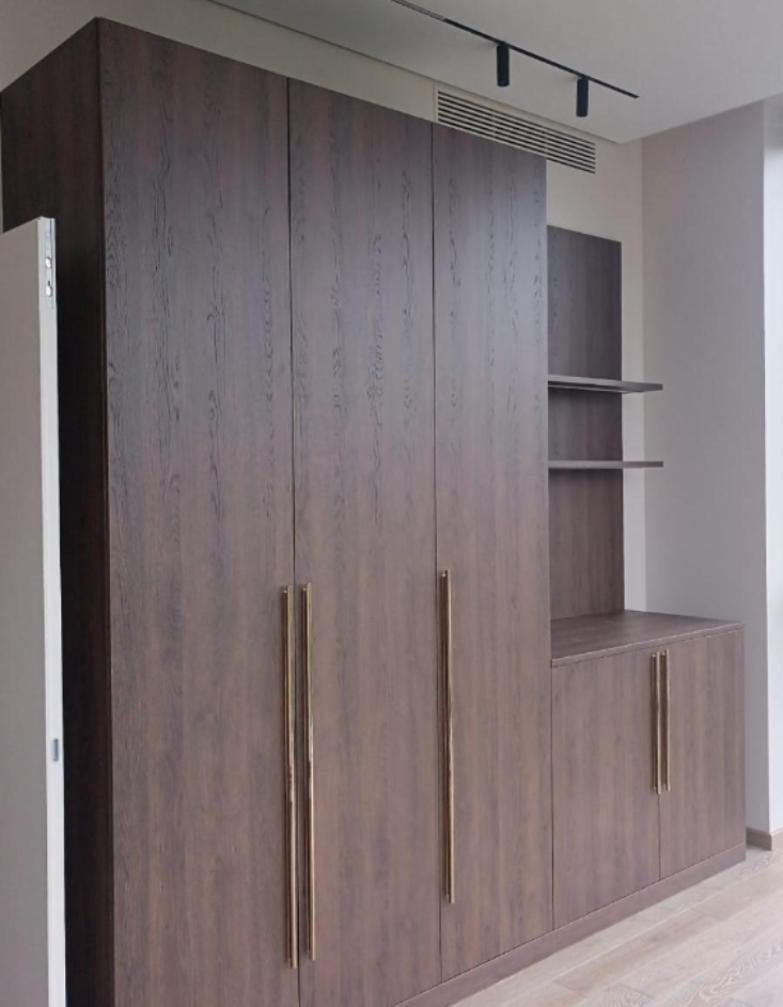 Стильный древесный распашной шкаф