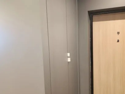  Распашной шкаф 